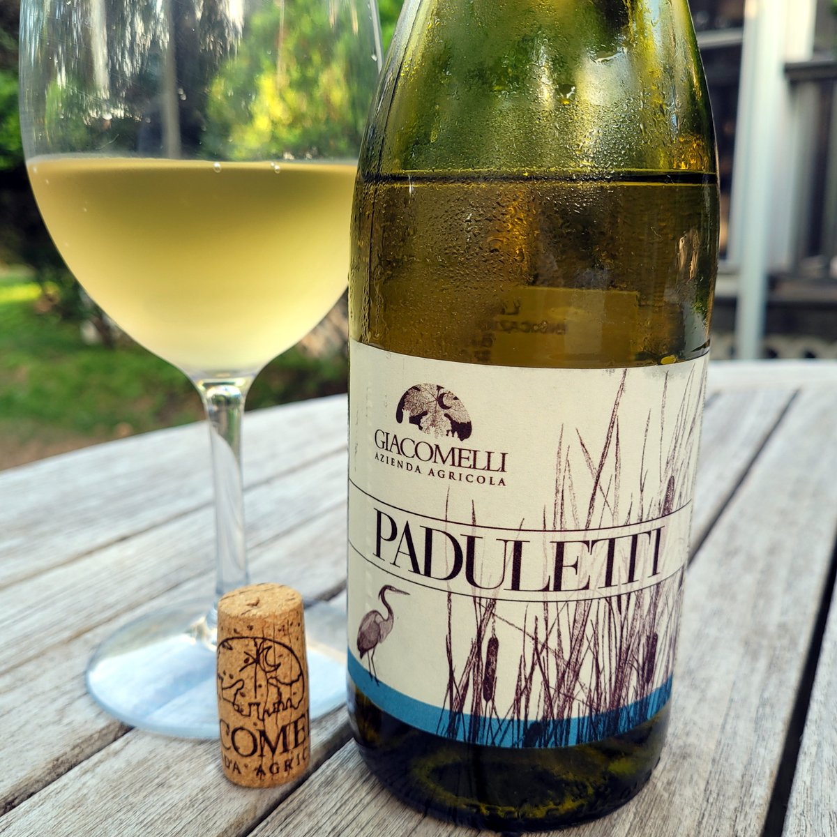 DestLen's tweet photo. September Wines - Italy 
Azienda Agricola Giacomelli 'Paduletti' - Liguria di Levante Indicazione Geografica Tipica (IGT), Castelnuovo Magra, Spezia, Italy. 
This white wine is a light straw yellow color with aromas of golden apples, yellow plums, and aromatic herbs. https://t.co/qfAccI7jR1
