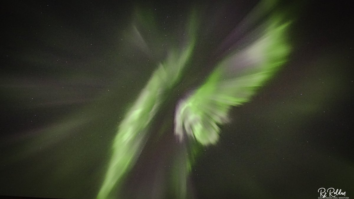 rjayroldan's tweet photo. Aurora gave us a free ticket to a magical night show last night. @TweetAurora @TweetAurora @AuroraJAnderson @Vincent_Ledvina @LachDonna @FergiesPhotos @AshleyP52149177 #manitoba #northernlights #aurora #auroraborealis #nightphotography #auroranight #discovercanada https://t.co/CHr83I8TgQ