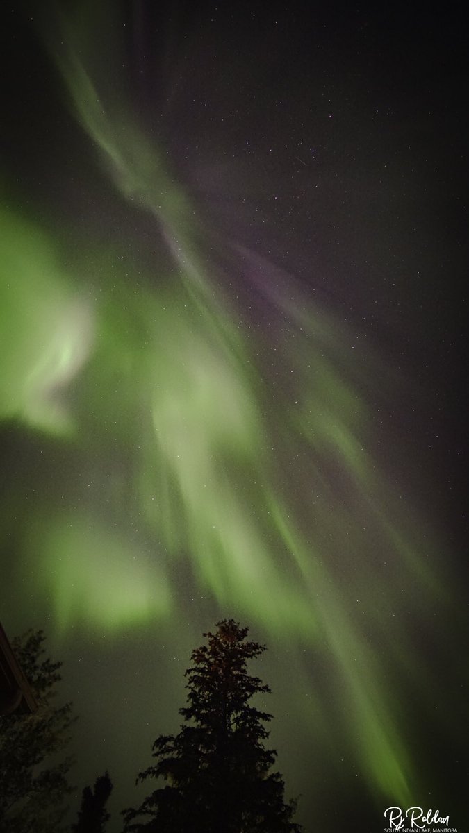 rjayroldan's tweet photo. Aurora gave us a free ticket to a magical night show last night. @TweetAurora @TweetAurora @AuroraJAnderson @Vincent_Ledvina @LachDonna @FergiesPhotos @AshleyP52149177 #manitoba #northernlights #aurora #auroraborealis #nightphotography #auroranight #discovercanada https://t.co/CHr83I8TgQ