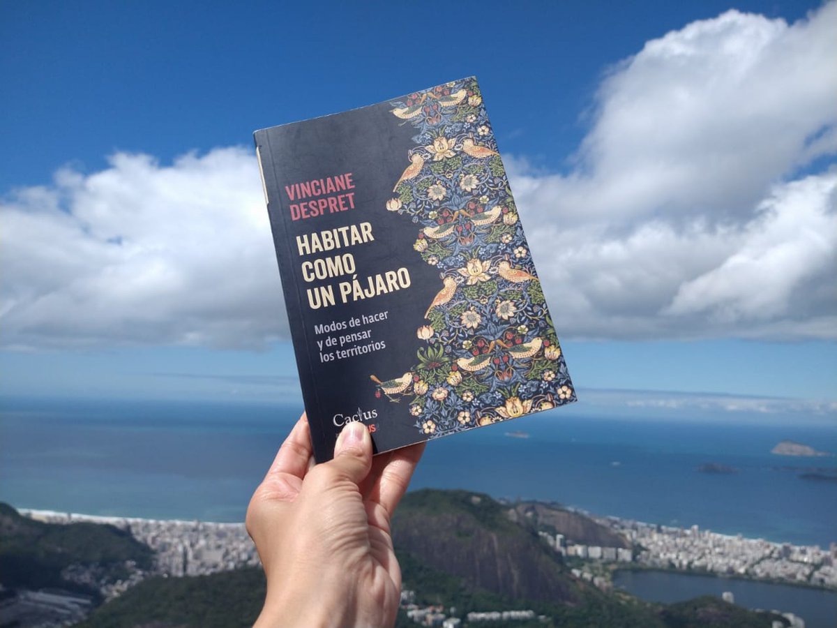 La Solapa Libros de Laura y Nati tweet media