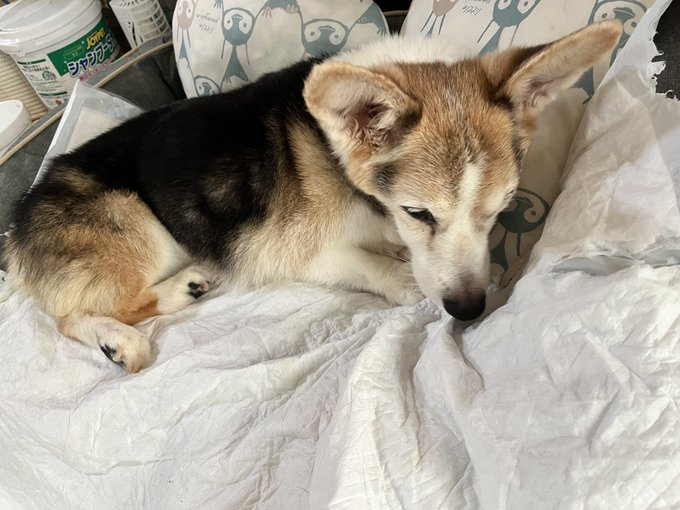 おはようございます。 