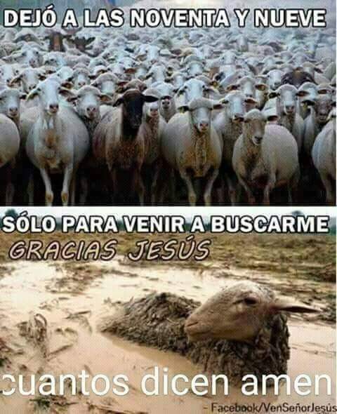 Neon53603093's tweet photo. Gracias Señor 🙇‍♂️♥️📖🙌 https://t.co/TgWVfYOSGo
