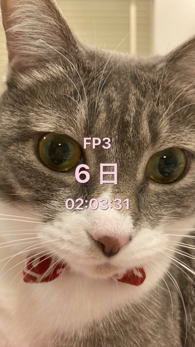 Aiko S Optimal Today