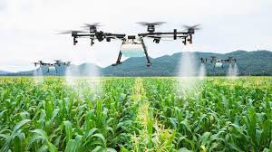AmandaEze01's tweet photo. Adoption of innovative systems, technologies and products within the Farmhouse of the Future to improve agricultural productivities.

#futurecity #futurecitybylandwey #thefutureishere 

@FuturecityNG @landweyng https://t.co/vnT5Uagdja