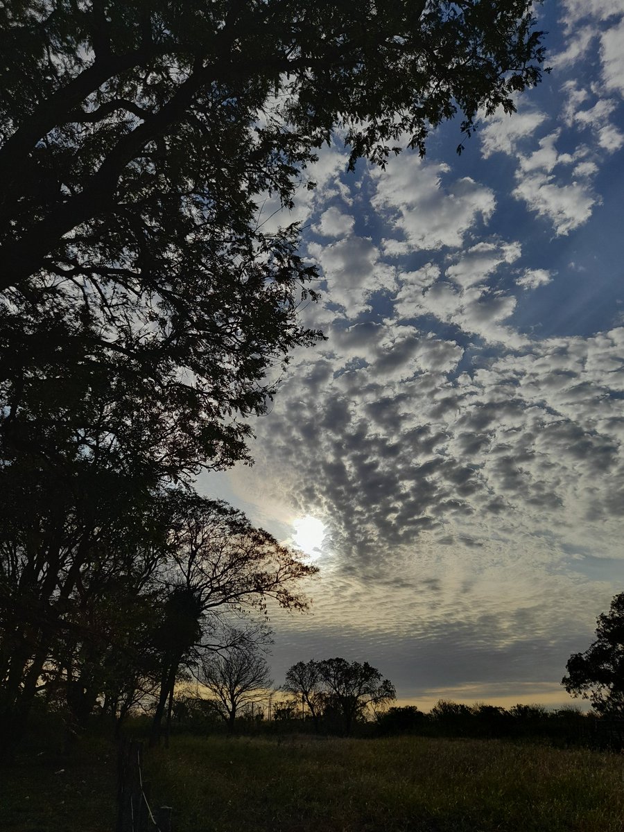 LarisaMuoz6's tweet photo. El cielo está más hermoso ahora que te tiene en el❤‍🩹 https://t.co/djA3gLMncK