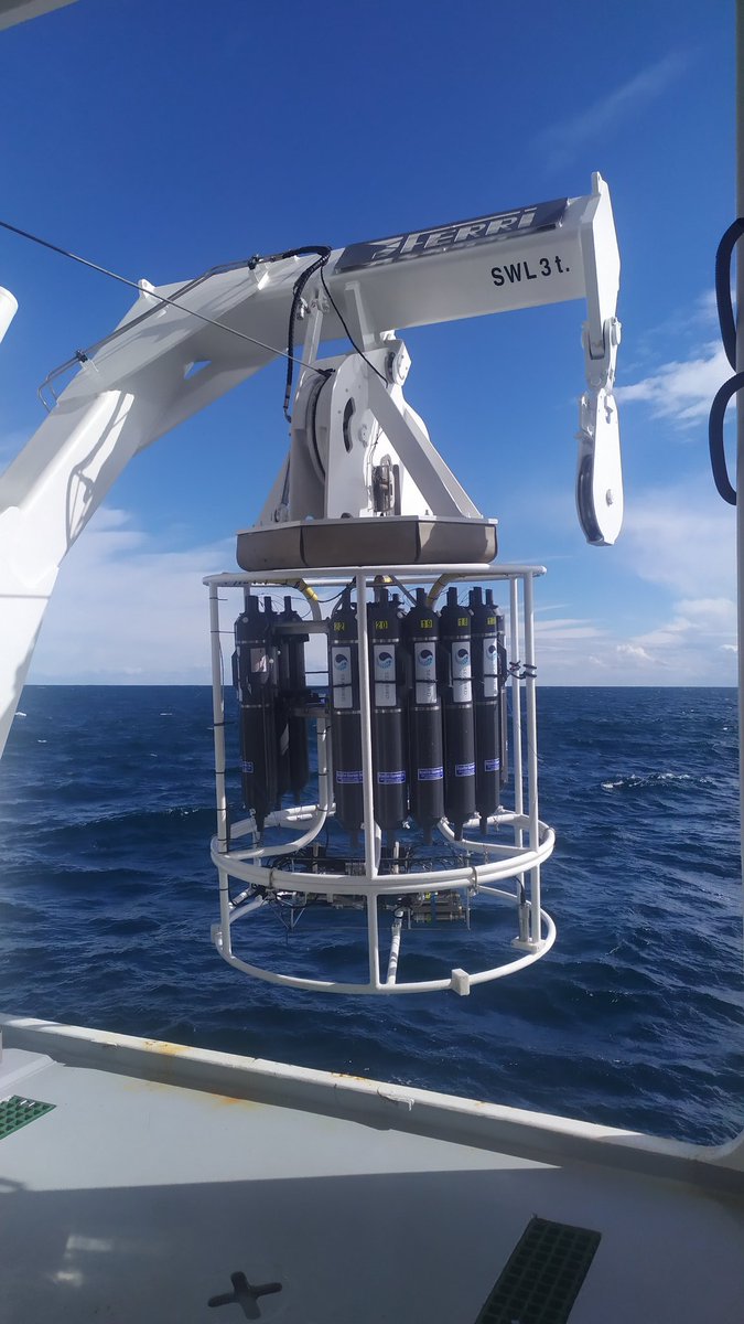 MaddalenaTibone's tweet image. First sequencing run of #eDNA samples on #M2S2 using ONT&apos;s MinION. We found multiple meso species, mainly mueller&apos;s pearlside, that was detected both with acoustics and biological sampling. Also, eDNA tells us there are blue sharks roaming around 🦈 @Thibault_Cariou