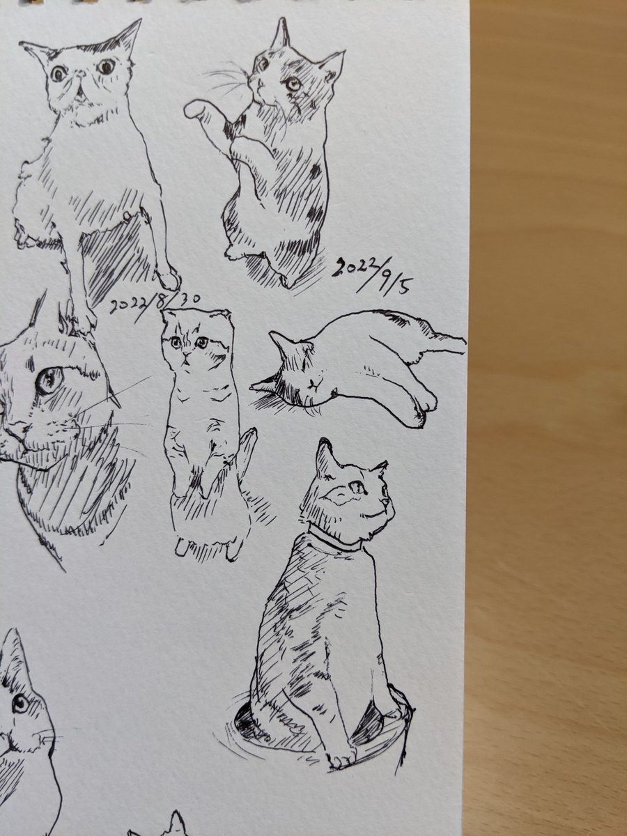 富山に台風が来そうだゾ 