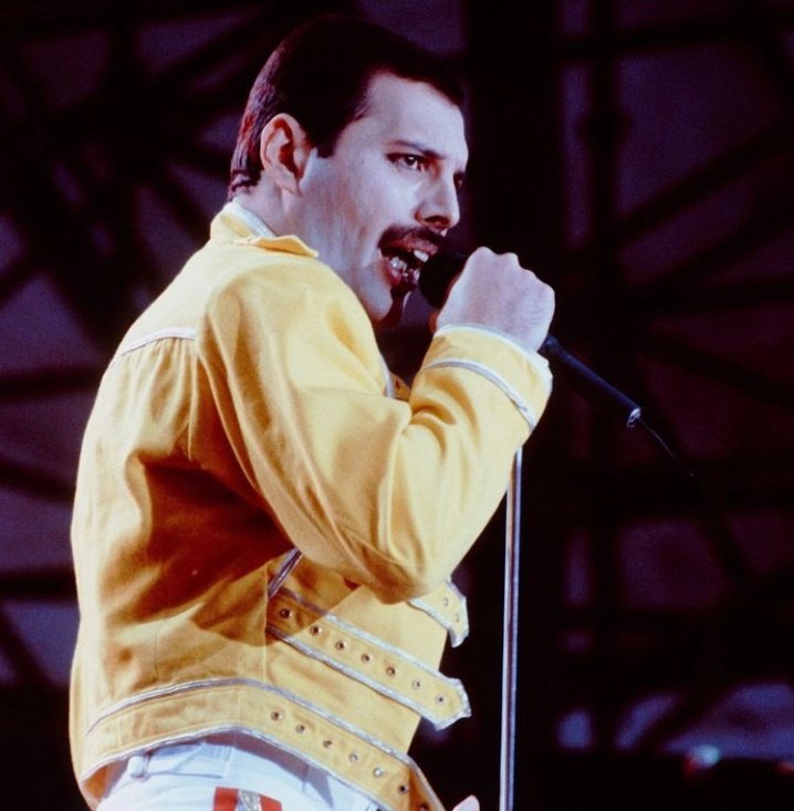 the greatest to ever do it. the man who had and still has the entire world in the palm of his hand. the man who enchants with his voice and his electrifying presence. freddie mercury — magic and heaven in person. lover of life, singer of songs. 💘 #HappyBirthdayFreddieMercury