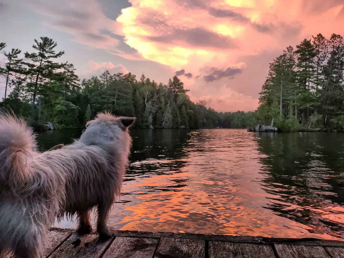 morgancobaconk's tweet photo. yesterday's sunset was just incredible https://t.co/MFFjewvkTO