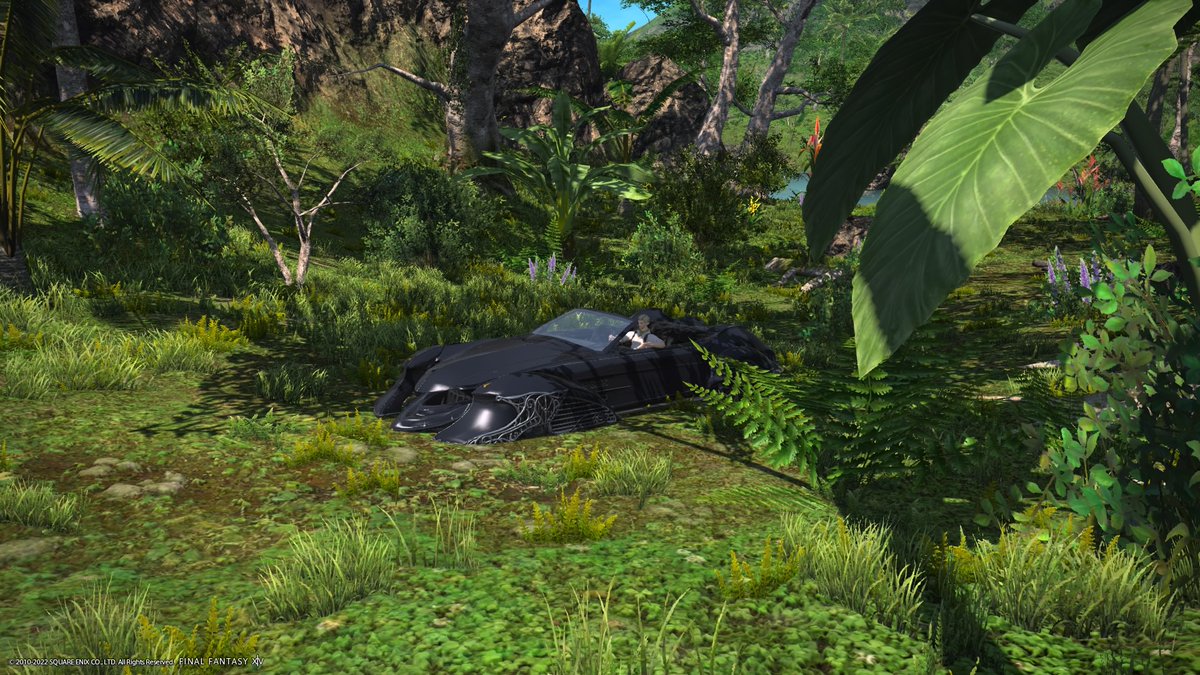 flowerchieftain tweet picture