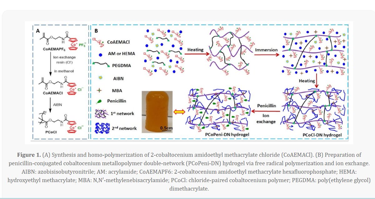 Biomaterials_Translational (@biomaterialst) on Twitter photo Antifouling and antimicrobial cobaltocenium-containing metallopolymer double-network hydrogels
Hui Li1,2, Peng Yang1, JiHyeon Hwang1, Parasmani Pageni1, Alan W. Decho3, Chuanbing Tang1,*
 biomat-trans.com/EN/10.12336/bi… Antifouling and antimicrobial cobaltocenium-containing metallopolymer double-network hydrogels
Hui Li1,2, Peng Yang1, JiHyeon Hwang1, Parasmani Pageni1, Alan W. Decho3, Chuanbing Tang1,*
 biomat-trans.com/EN/10.12336/bi…