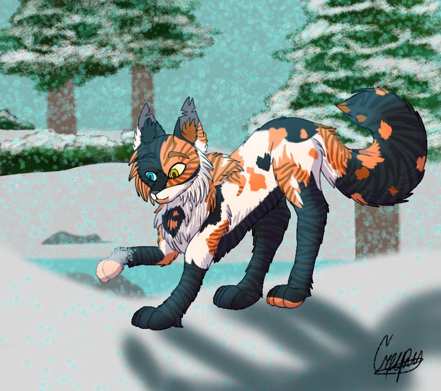 CreepyDaKitty's tweet photo. Made a Warrior Cats character of mine due to being a bit stressed out. He playing in the snow.

#warriorcats #digitalart #warriorcatsoc #originalcharacter #originalcharacterart #artist #art https://t.co/Py9YbcmzQU