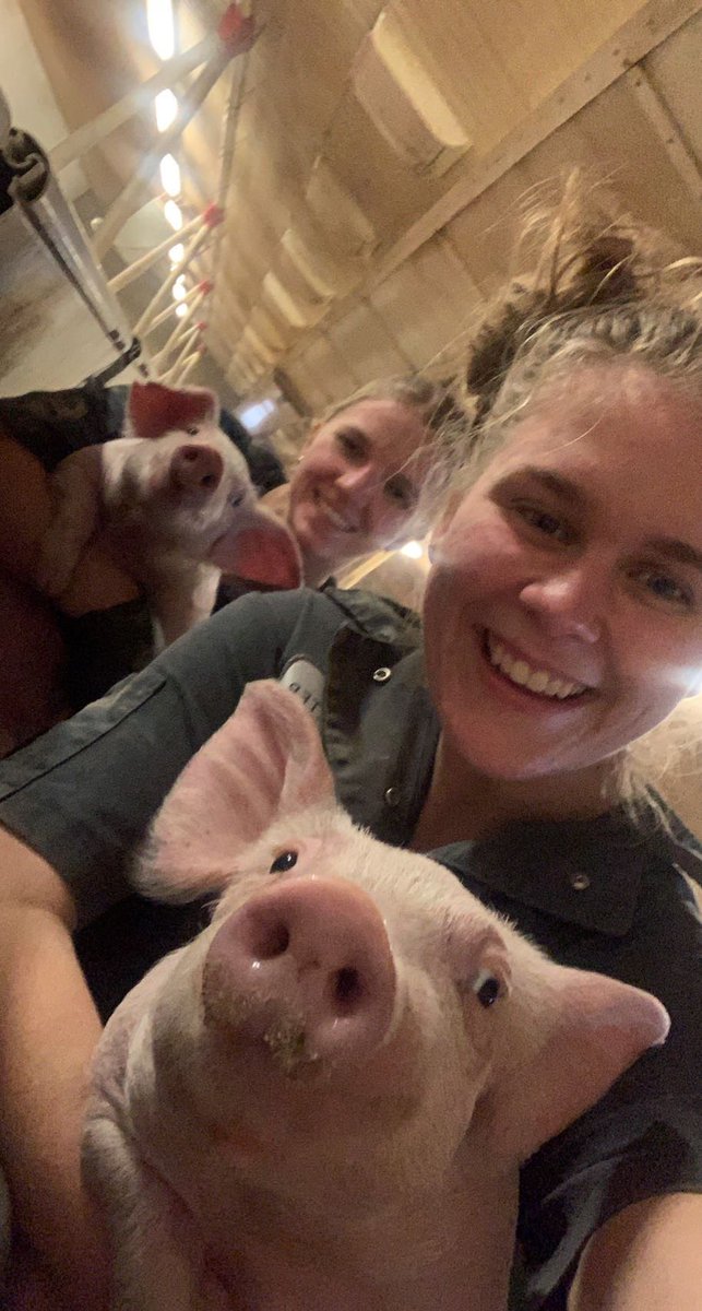 kendracorny's tweet photo. As summer comes to an end, so does my time with some awesome coworkers! Thanks for all you have done, can’t wait to have you back! Good luck in school, nerds 🤓🐷 https://t.co/ipfFmgbyaZ