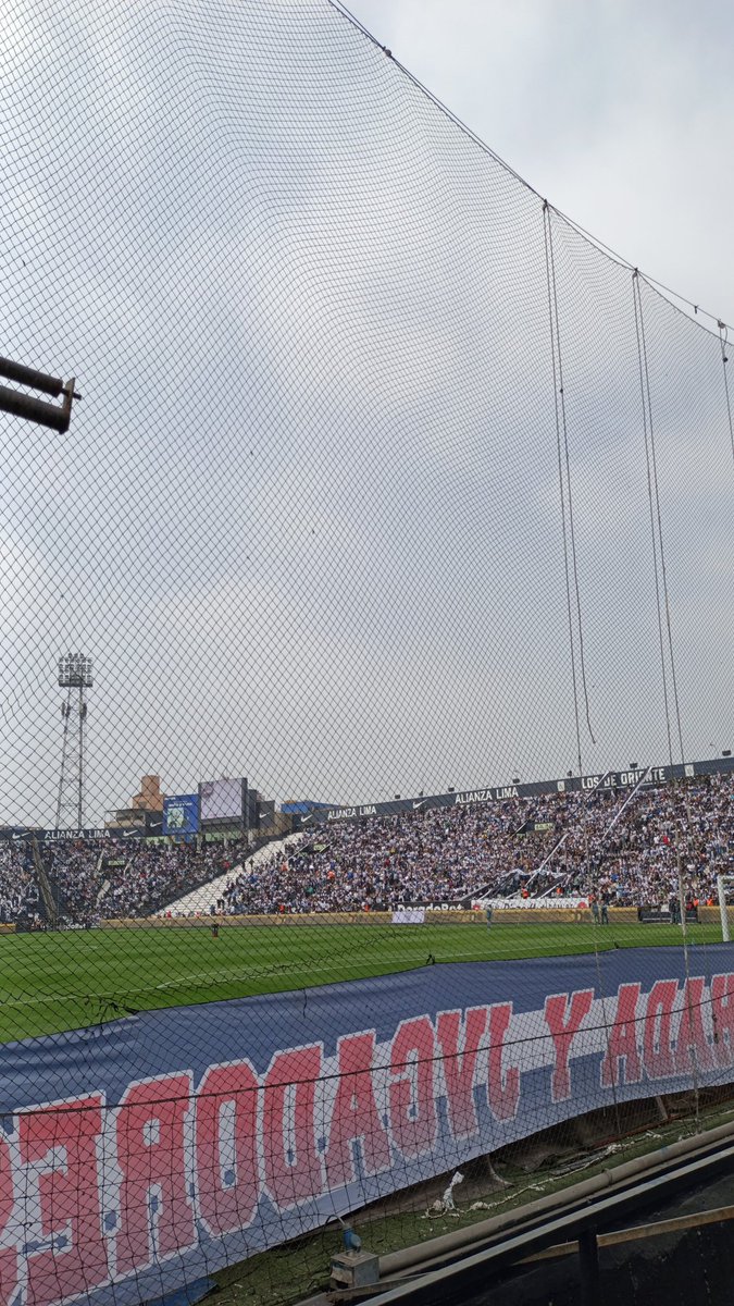 LaDeLimaGrone_'s tweet photo. ¡#LadeLimaGrone presente en el clásico!

#AlianzaLima
#ALvsU https://t.co/iX0VjRX1u6