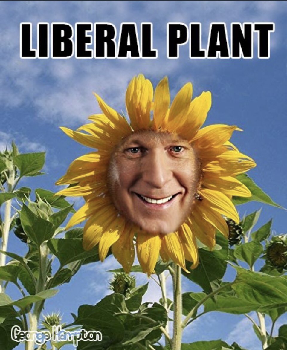 Esten51's tweet photo. @krisster8 #NeverCharest #NoToCharest #LiberalPlant https://t.co/Pfgprmuivi