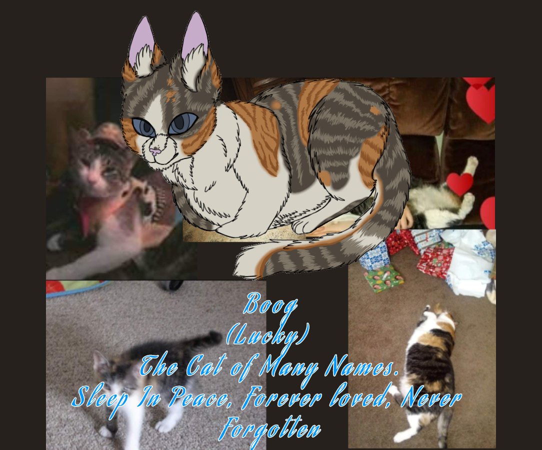 CreepyDaKitty's tweet photo. Made two memorial pieces of loved pets who sadly passed. My childhood cat and my boyfriend's childhood dog. Rest in peace...

#art #Petportraits #Petmemorial #originalart #digitalart https://t.co/MJRI7HFWtM
