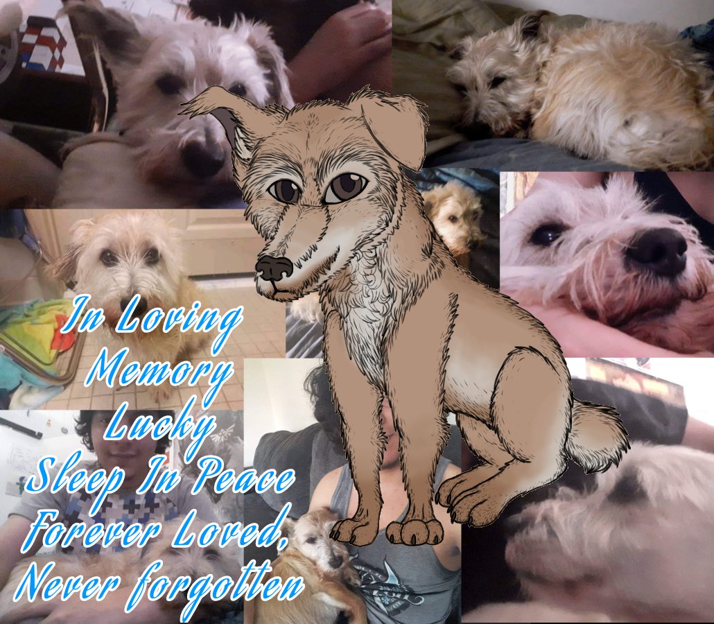 CreepyDaKitty's tweet photo. Made two memorial pieces of loved pets who sadly passed. My childhood cat and my boyfriend's childhood dog. Rest in peace...

#art #Petportraits #Petmemorial #originalart #digitalart https://t.co/MJRI7HFWtM