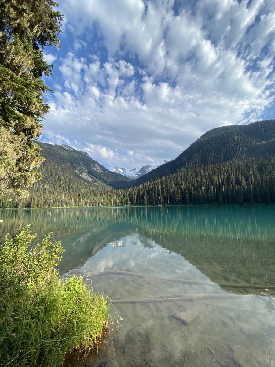 Dr Evelyn Zellerer tweet media