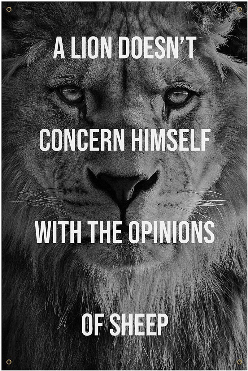 gsewell_sr's tweet image. 😤