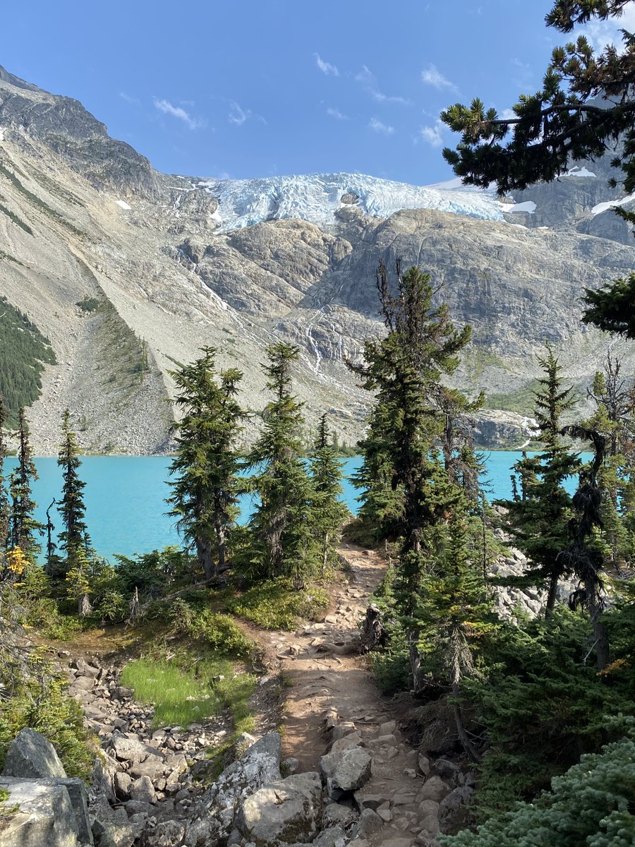 Dr Evelyn Zellerer tweet media