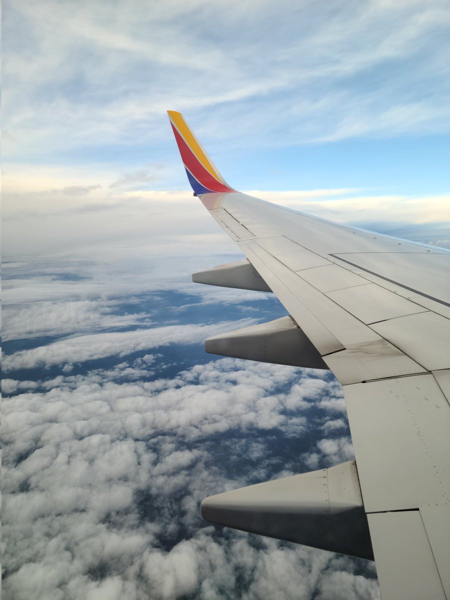 Joell Sperry tweet media