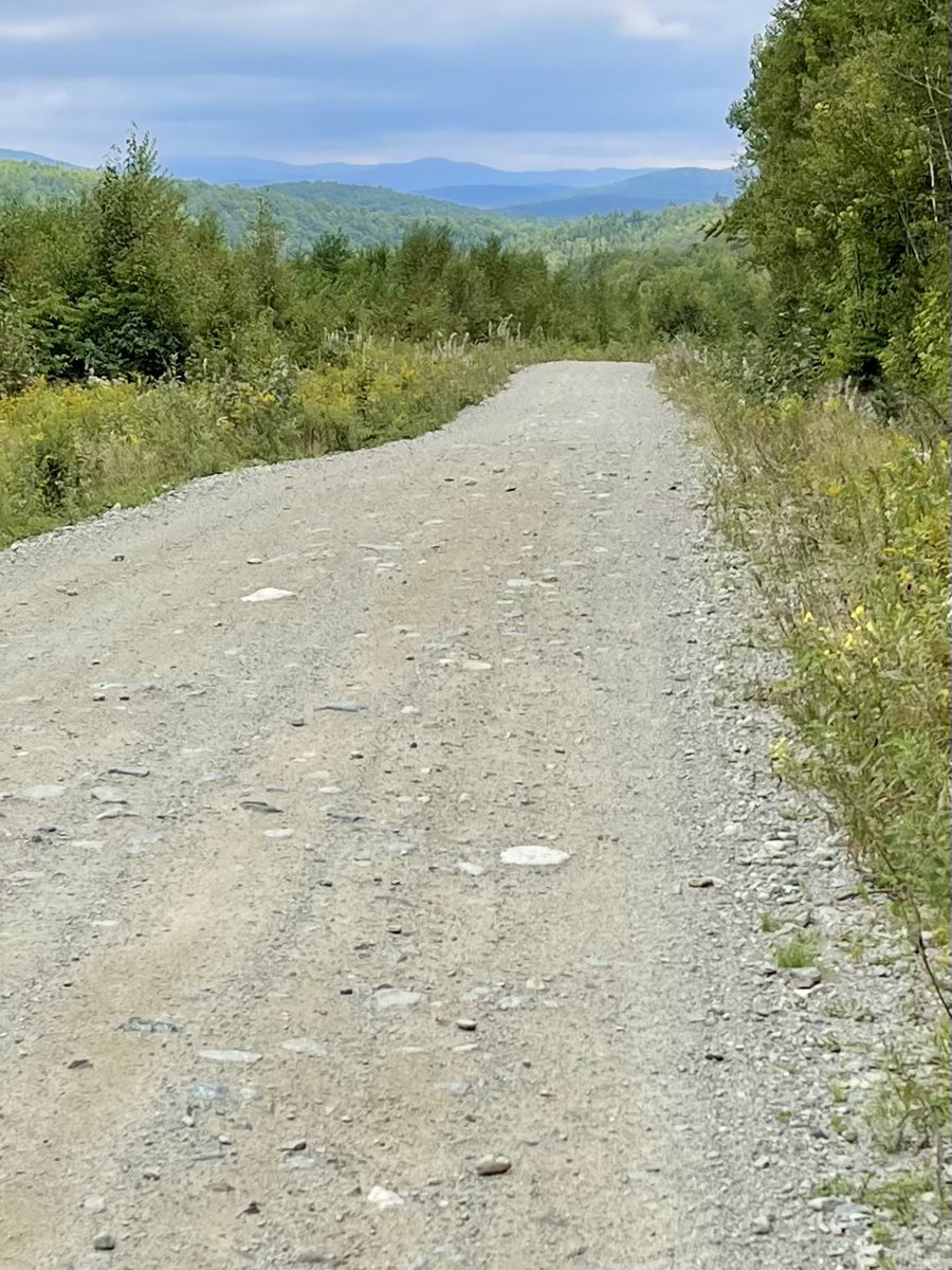 #Mindfulness.  Gravel cycling in Grafton Township, Maine. Roads less traveled are still roads.