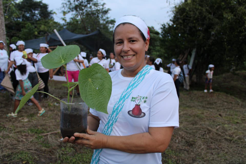 Alcaldiadeleg's tweet photo. Mujeres protectoras de vida y cuidadoras del conocimiento ancestral, con una caminata ecológica y siembra de semillas reivindicamos el rol de la mujer a través de escenarios organizativos para el fortalecimiento de los pueblos a partir de un conocimiento espiritual y ancestral. https://t.co/DaiBaf7jxK