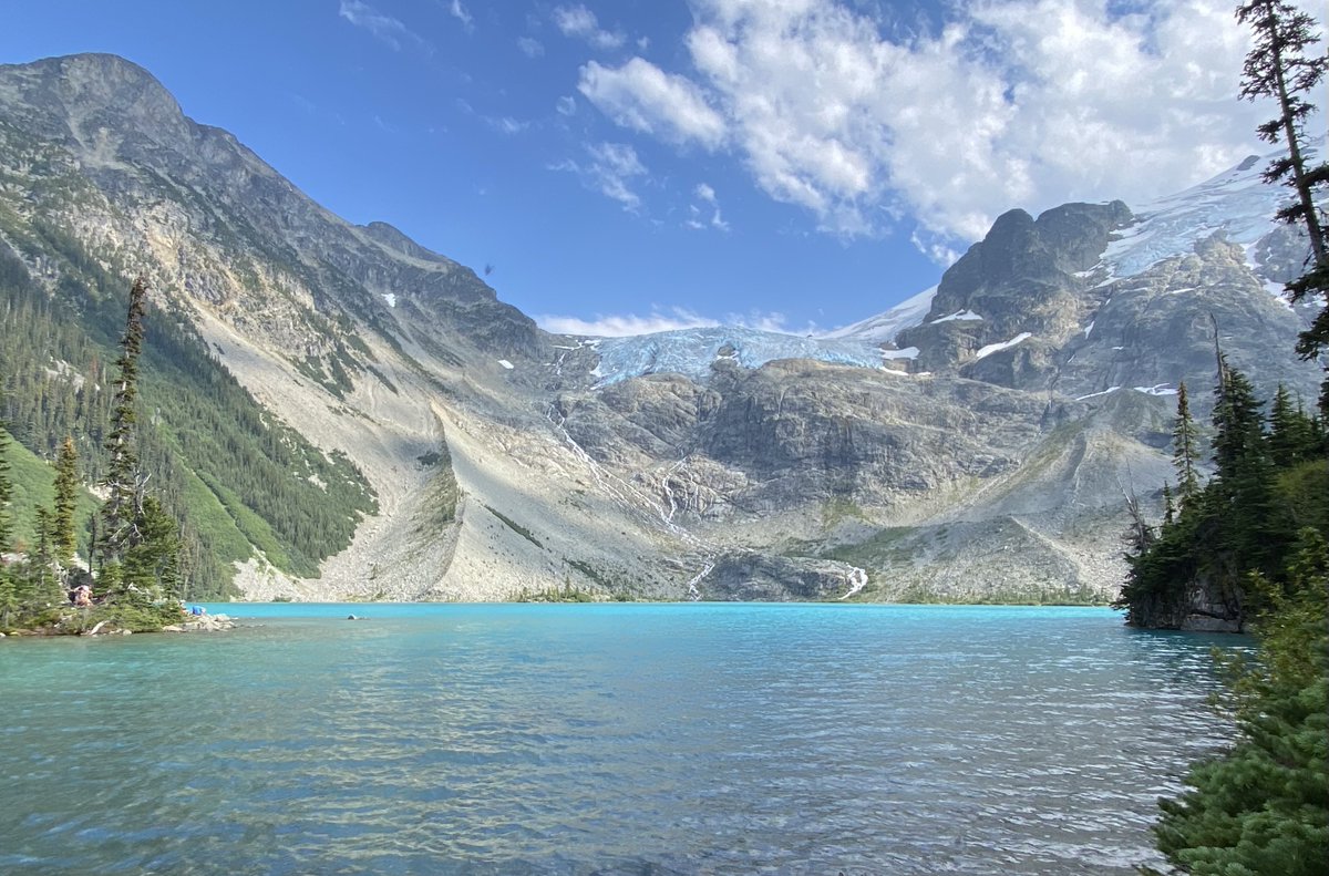 Dr Evelyn Zellerer tweet media