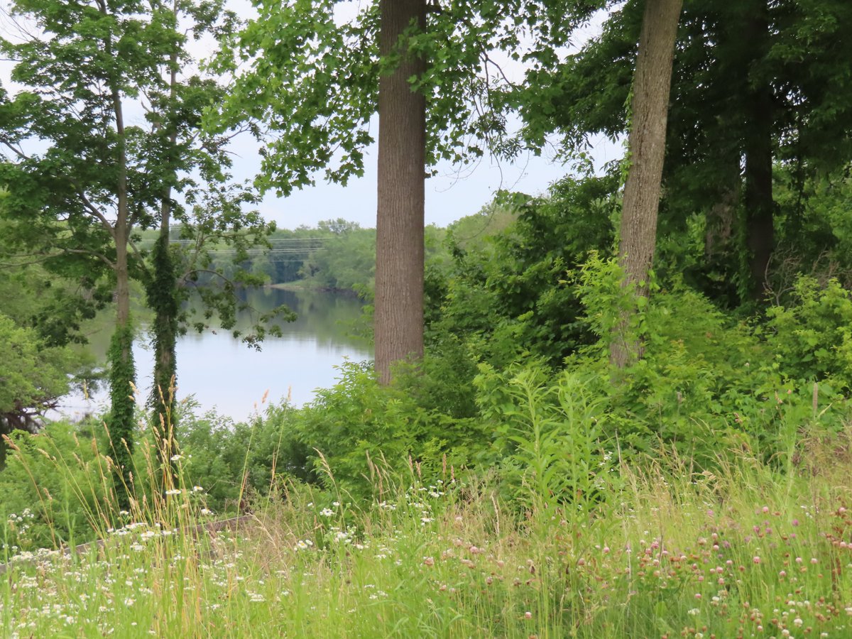 PLKlein_Author's tweet photo. "A society grows great when old men plant trees whose shade they know they shall never sit in." ~ #GreekProverb #ThinkBIGSundayWithMarsha #ThinkingOutLoud #QuickQuotes #SundayMotivation #Society #PlantTrees https://t.co/iZ2EtgIEXE
