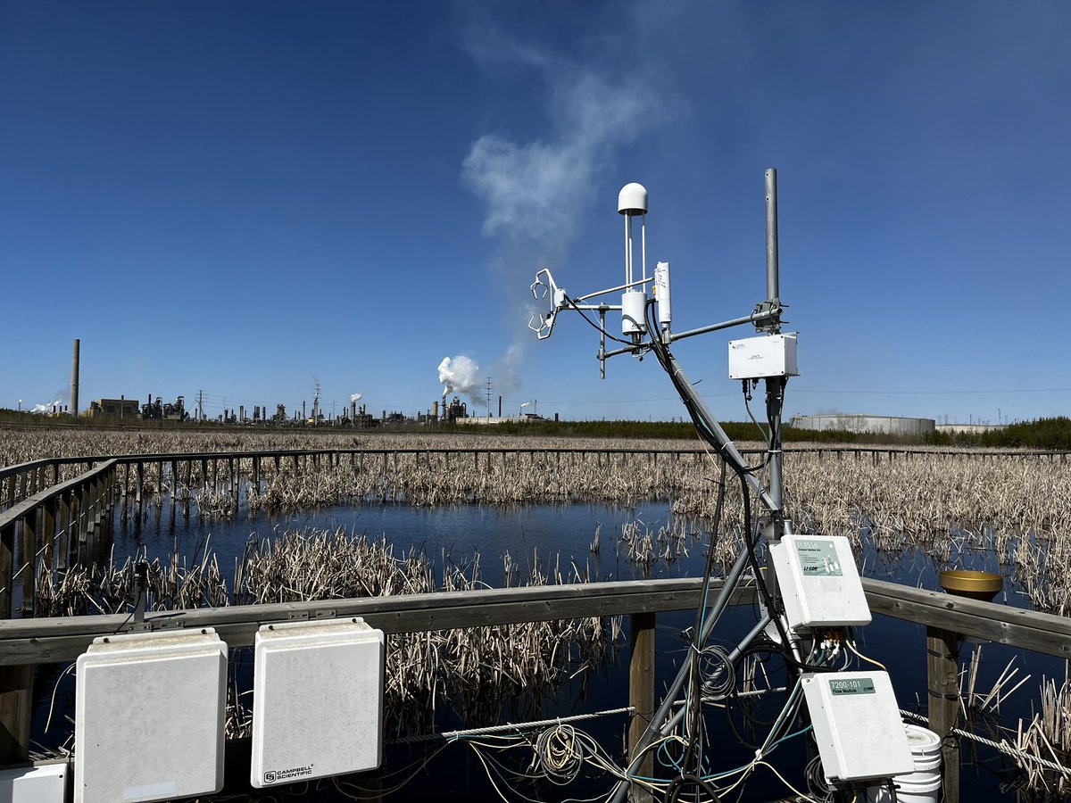 Calvin Newbery tweet media