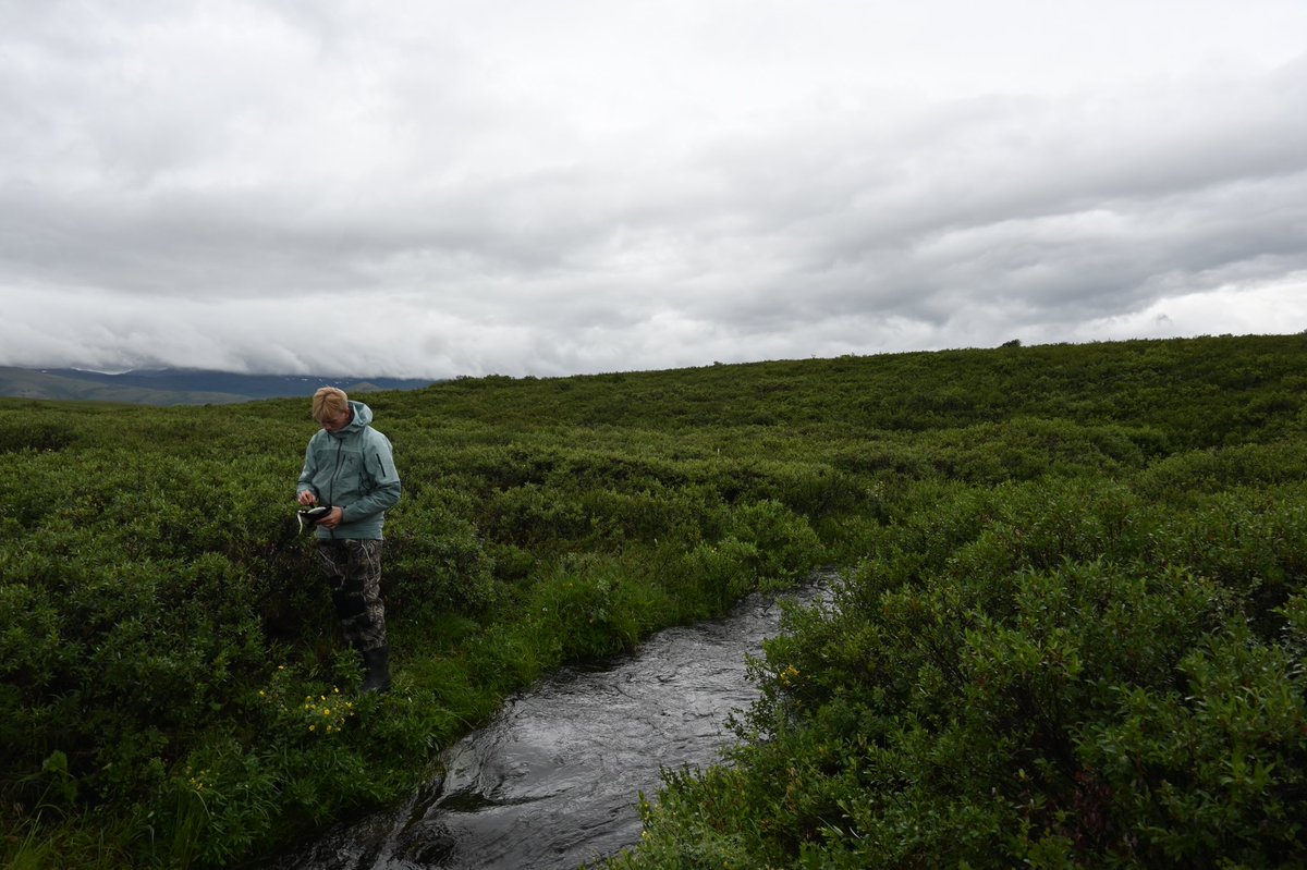 Calvin Newbery tweet media