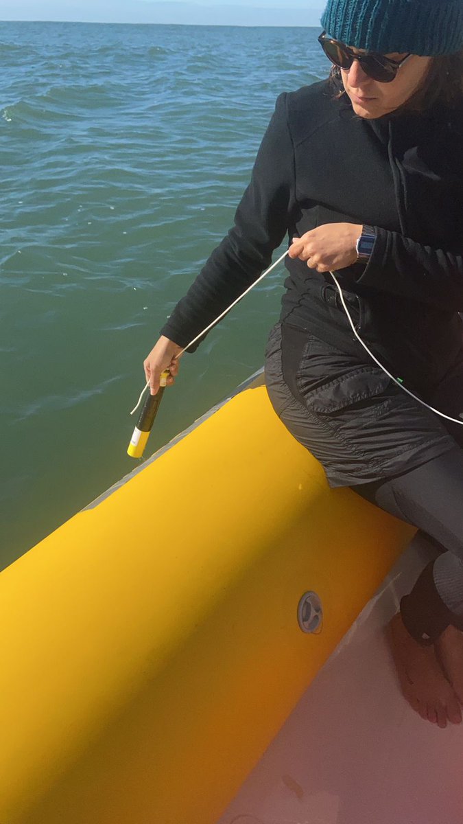 Julia Dombroski, PhD tweet media