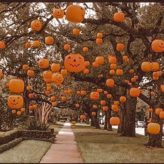 amhaunted's tweet photo. "I want to say one word to you: plastics" https://t.co/1alSVBvE0h https://t.co/wAwXABm0ht