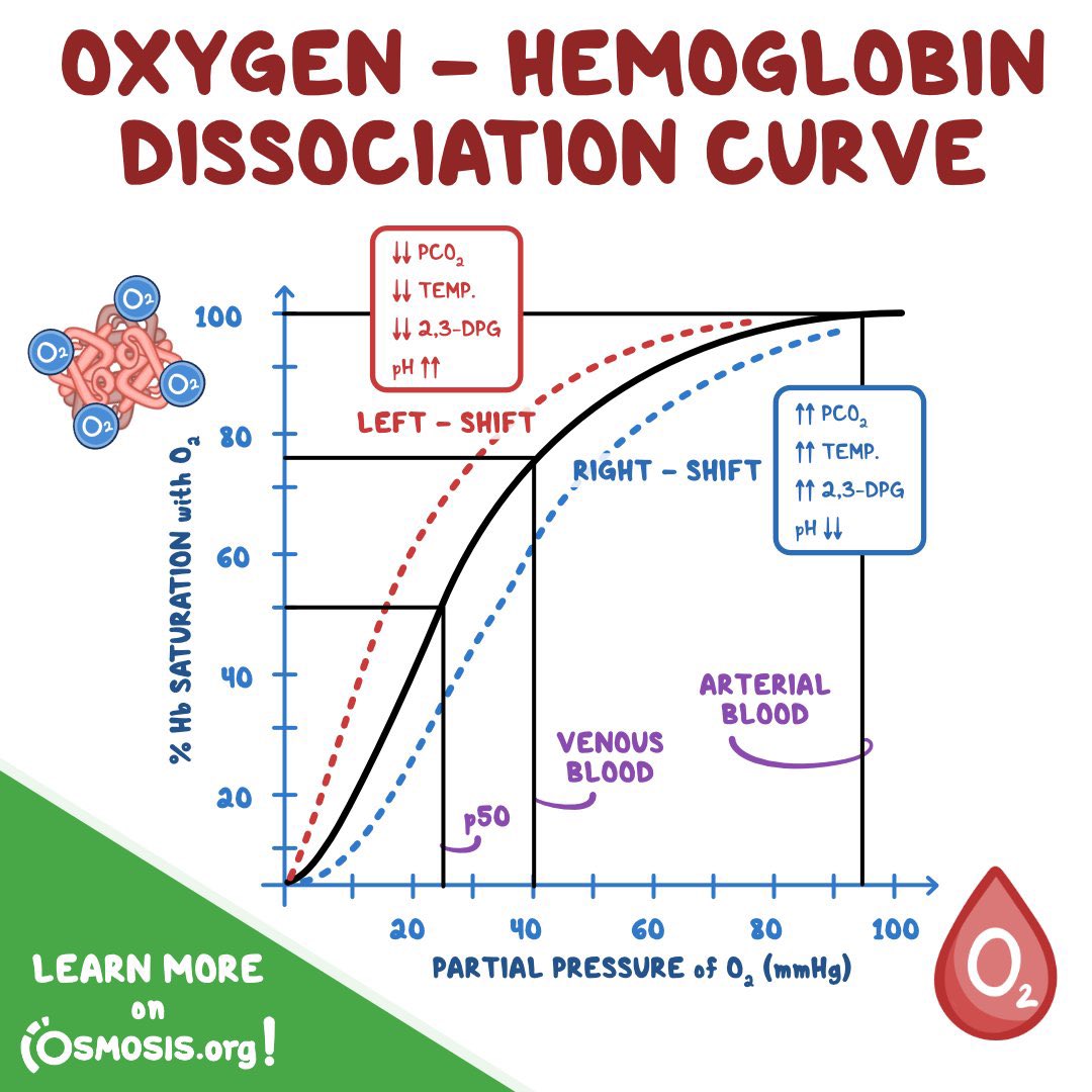 Top Biomedical Science On Twitter Oxygen hemoglobin Dissociation