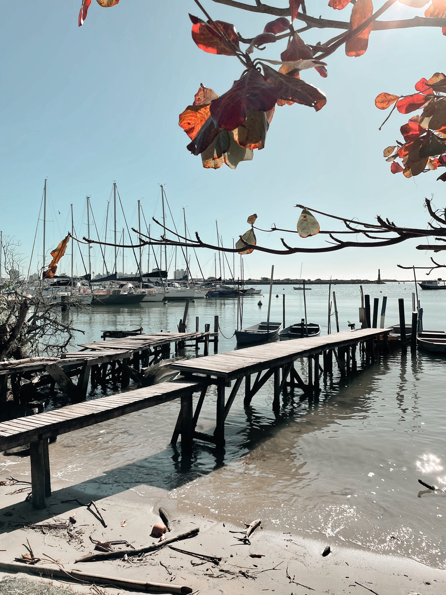 Https://Www.Passagenspromo.Com.Br/Blog/Itajai Santa Catarina/ - yg0e5h5