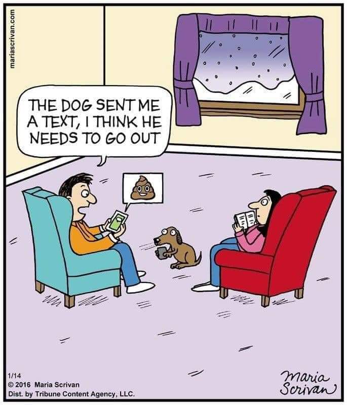 Neilfan12's tweet photo. 📱💩 With #PhoneZombies 🐶 #Dogs must resort to... 💩📱 https://t.co/UGrRhoULfh