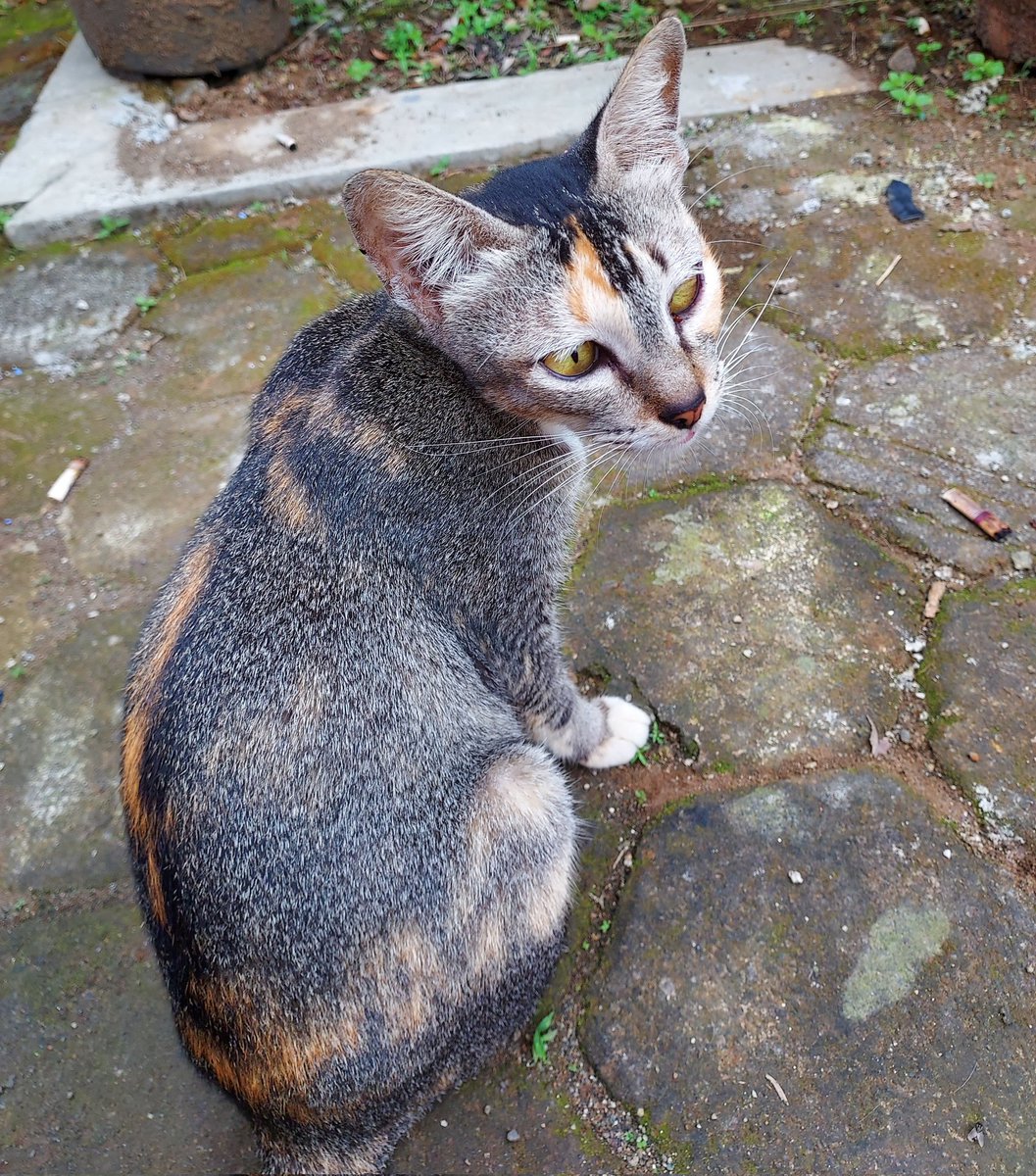 umpbase's tweet photo. -ump tebak apa yang aku temuin 😍🥰 https://t.co/Lc6UI2rEqH