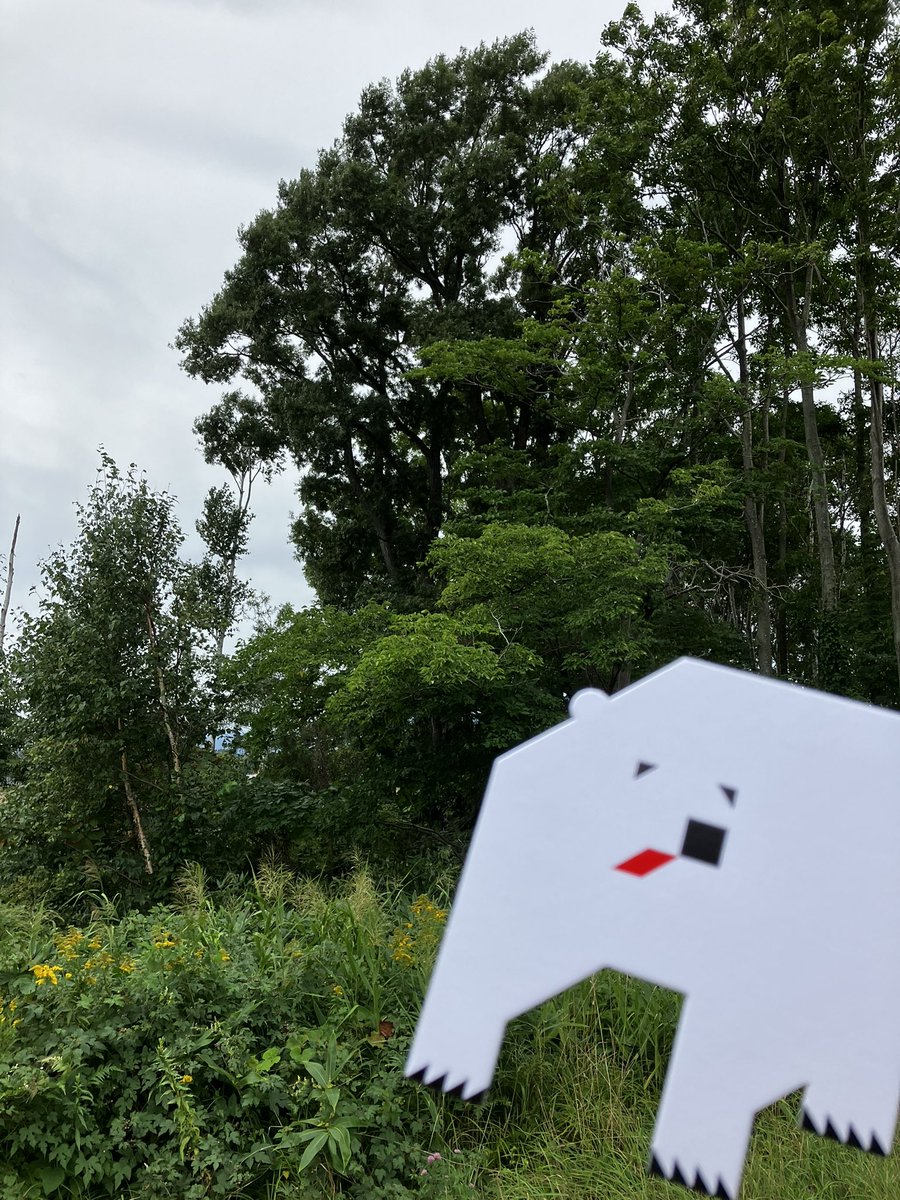 おはようございます🐻‍❄️

本日の北海道石狩市は21℃☂️

無事 #さっぽろ紙まつり を終え、ひと安心♨️

紙の魅力を少しでも伝えたい！と始めたイベント。
結果、皆さんから紙って凄い！と教えてもらいました。
ありがとうございます🙇‍♂️

また一歩づつがんばります✌️

 #企業公式が毎朝地元の天気を言い合う