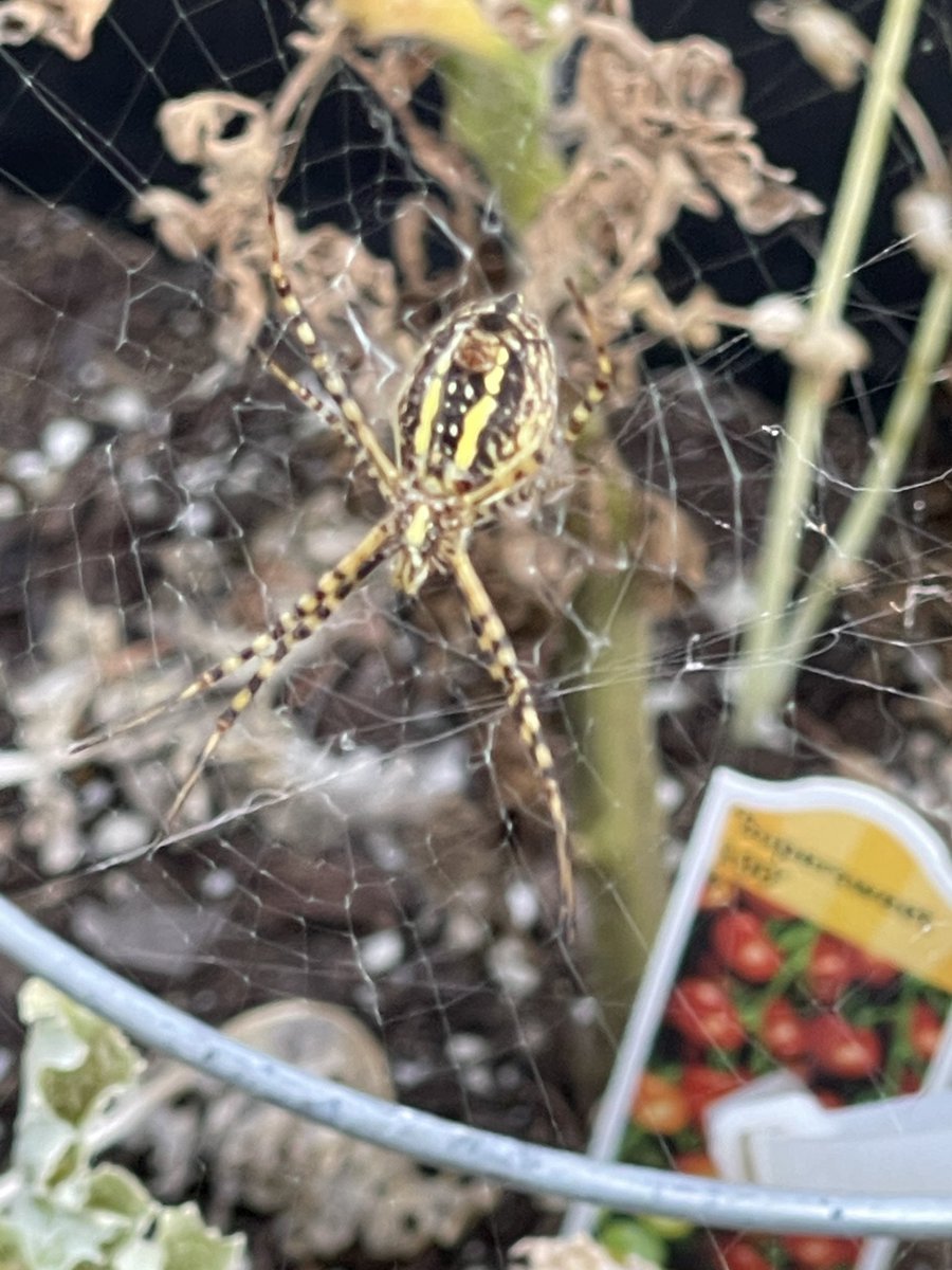 Dr. Alec Couros tweet media