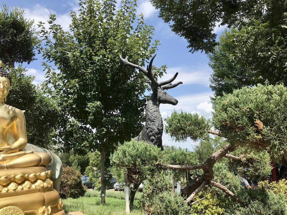 kad75043's tweet photo. I spent a few hours at Temple earlier today. It was relaxing and enjoyable. https://t.co/PjxBj65aUD