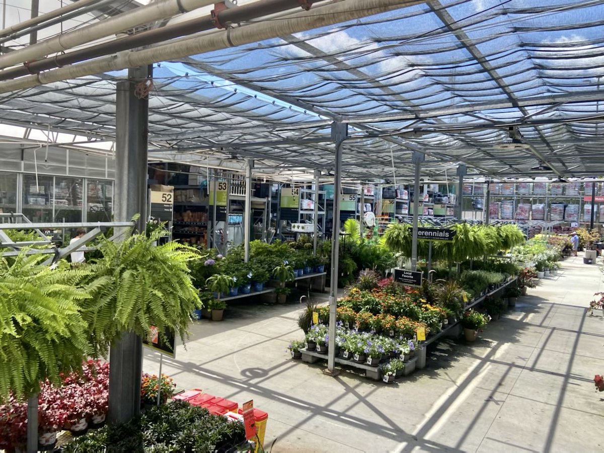 PPSKare's tweet photo. Labor Day off? Spend your day FALLing in love with your garden again! #digit Check out choices at Our Home Depot 3629 in Wilmington NC❤️#WinSpring @JimSimmonsHD @StacyWaltonTHD @PPSinHD @Stephen_E_Camp @pps_s_atlantic https://t.co/iwFelxTRYG
