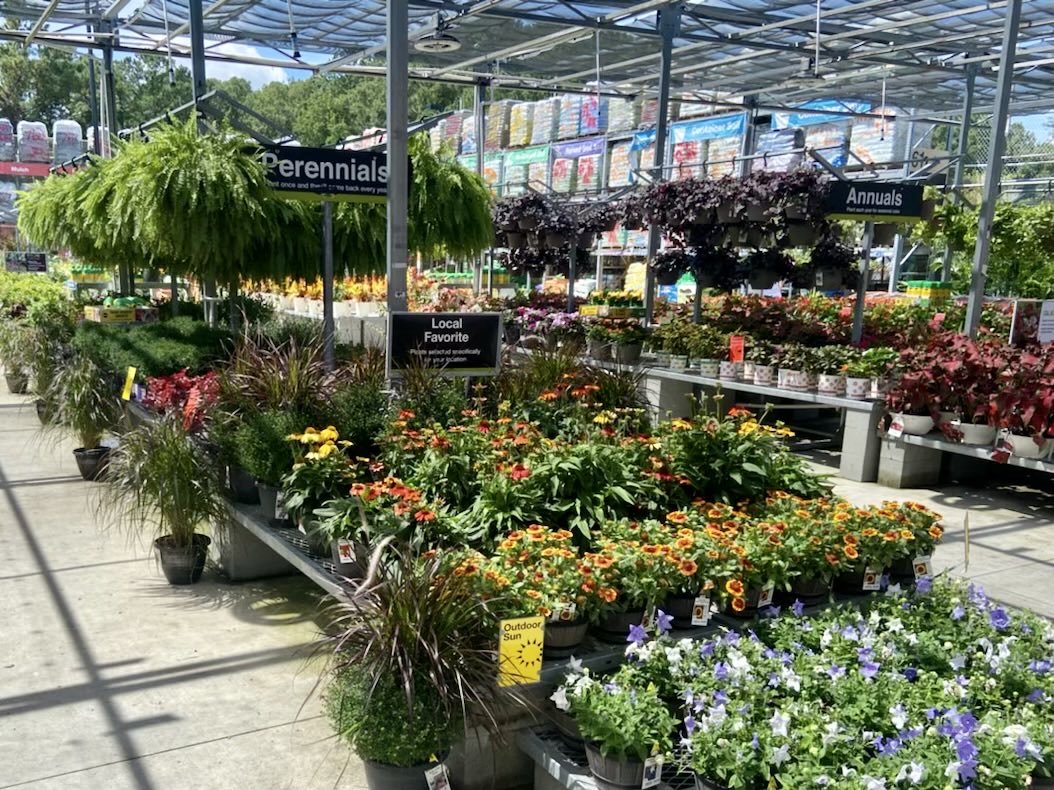 PPSKare's tweet photo. Labor Day off? Spend your day FALLing in love with your garden again! #digit Check out choices at Our Home Depot 3629 in Wilmington NC❤️#WinSpring @JimSimmonsHD @StacyWaltonTHD @PPSinHD @Stephen_E_Camp @pps_s_atlantic https://t.co/iwFelxTRYG