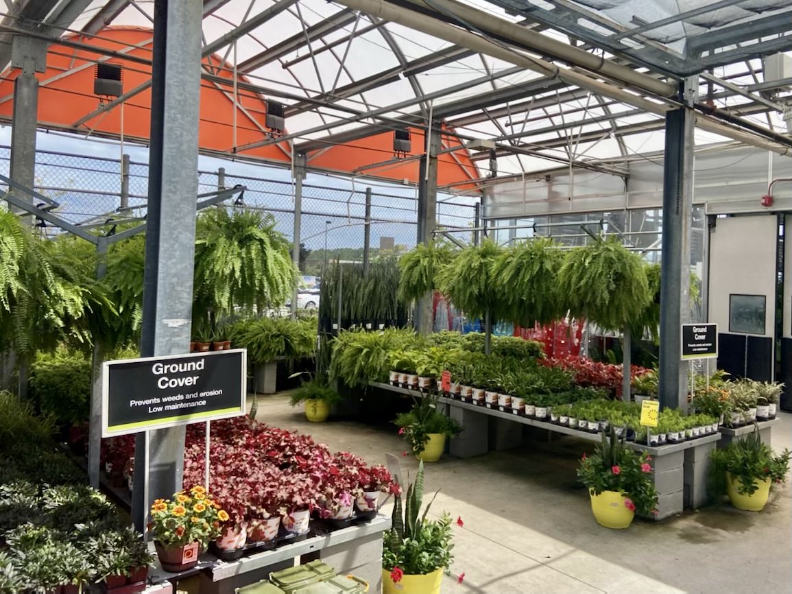 PPSKare's tweet photo. Labor Day off? Spend your day FALLing in love with your garden again! #digit Check out choices at Our Home Depot 3629 in Wilmington NC❤️#WinSpring @JimSimmonsHD @StacyWaltonTHD @PPSinHD @Stephen_E_Camp @pps_s_atlantic https://t.co/iwFelxTRYG
