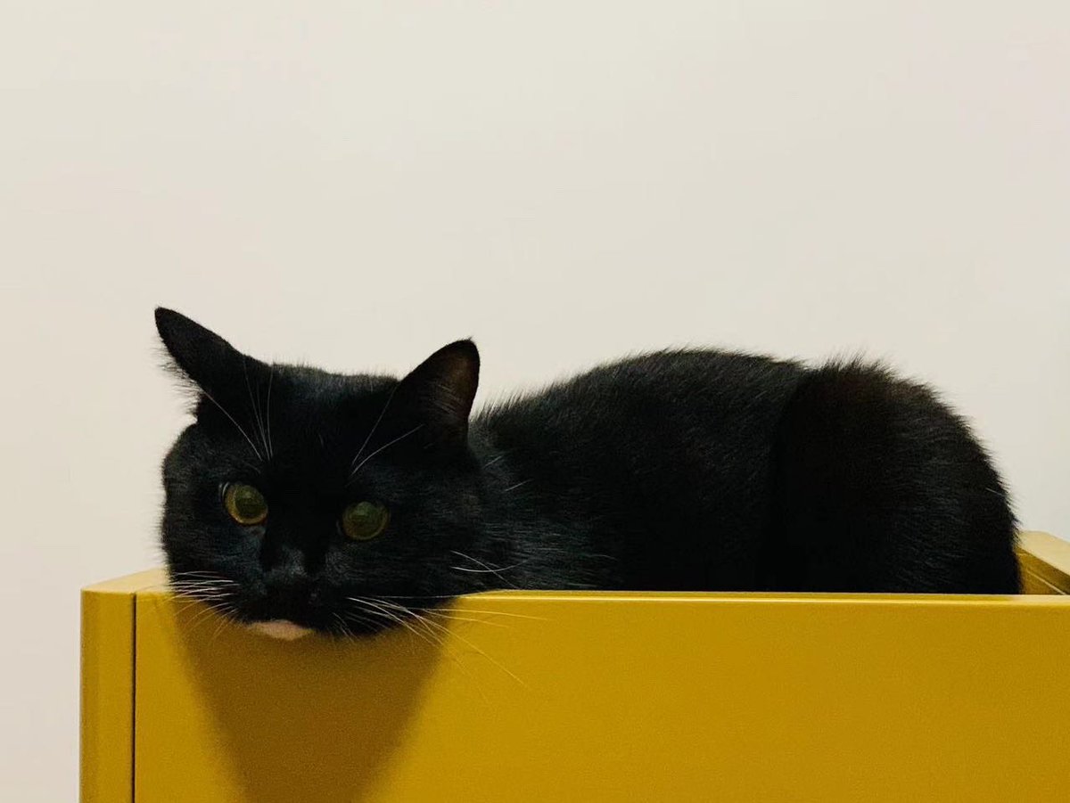 LPY_SS's tweet image. The family position higher than me.