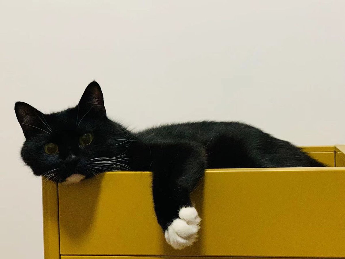 LPY_SS's tweet image. The family position higher than me.