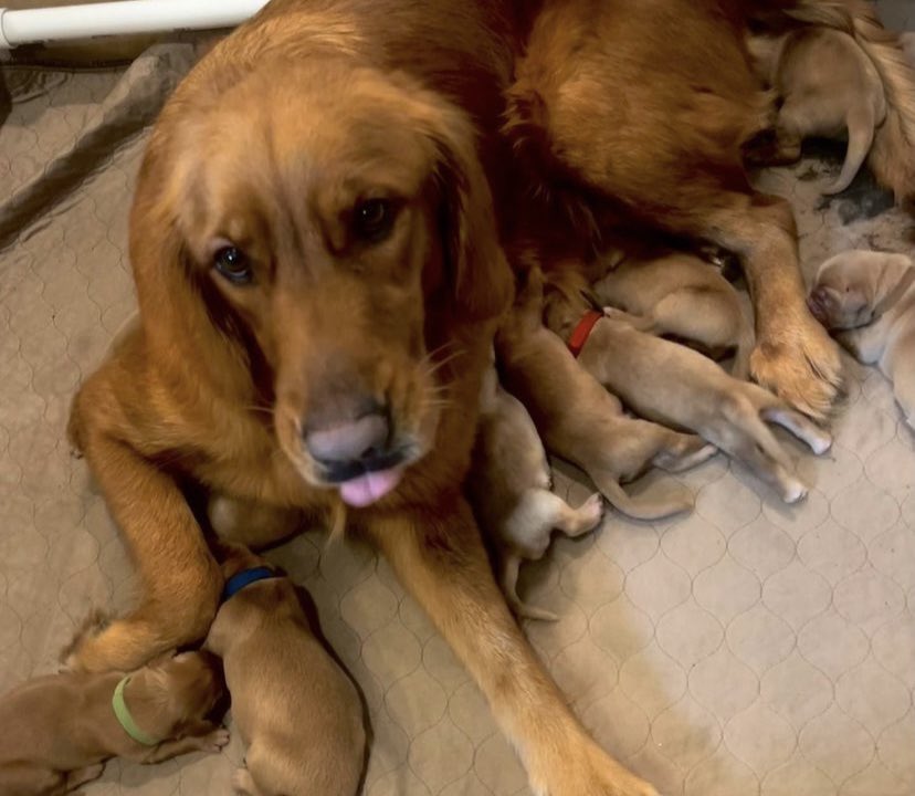 Serelinity's tweet photo. GUYS

MY FUTURE BABY WAS BORN TWO DAYS AGO https://t.co/kY98gSMYsN