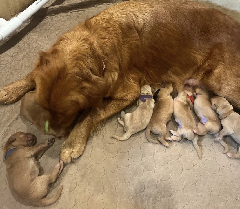 Serelinity's tweet photo. GUYS

MY FUTURE BABY WAS BORN TWO DAYS AGO https://t.co/kY98gSMYsN