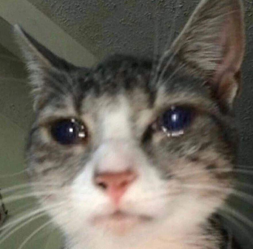 ㅤ
ㅤ꒰´͈ ᵕ ॣ`͈꒱：ㅤoh how i miss thanatos ,, 
ㅤ