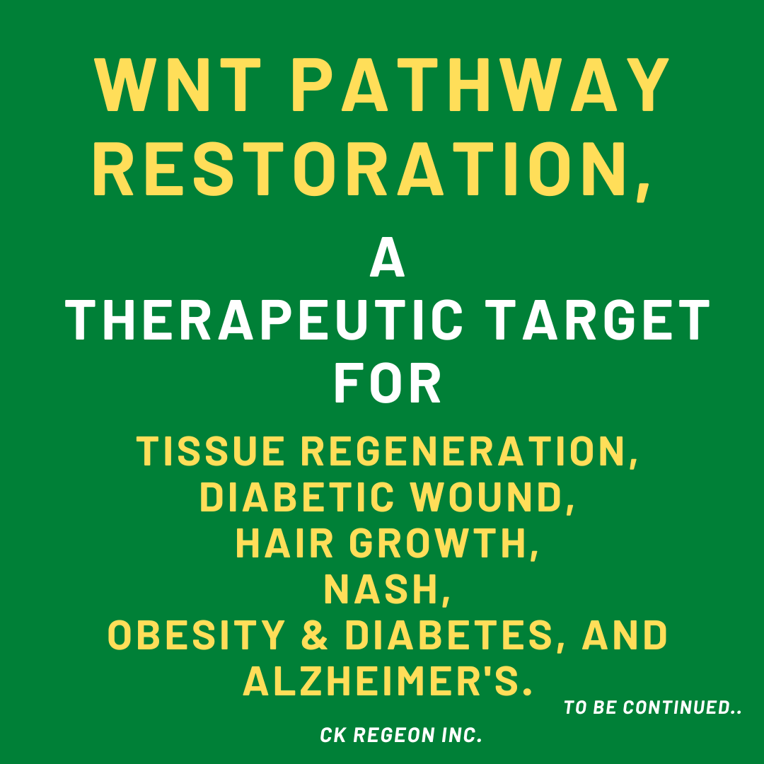CkRegeon's tweet photo. WNT Pathway restoration, a therapeutic target for safe tissue regeneration.

#ckregeon #koreanbiotech #cxxc5 #Wnt #β-catenin #Dishevelled #obesity #diabetes #diabeticwound #diabeticfootulcer #nash#wntactivation#safeactivationofwnt#alzheimers
https://t.co/dklw8dKKBE https://t.co/d92ziqDxum