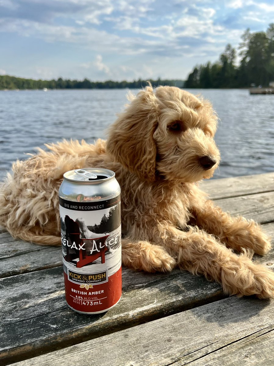 DocMalec's tweet photo. If you’re driving by #SharbotLake drop by #KickAndPush brewery for some of these great local brews- perfect dock beer! 🍻 https://t.co/V0poIVS8BO